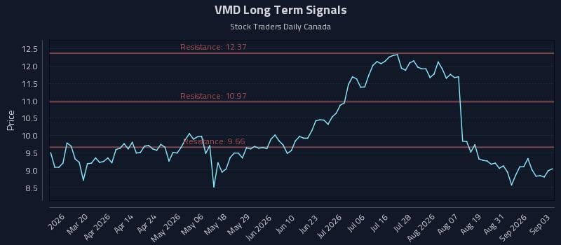 VMD Long Term Analysis for September 3 2026 VMD Long Term Analysis for September 3 2026