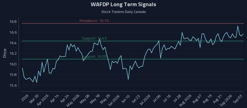 WAFDP Long Term Analysis for September 3 2026 WAFDP Long Term Analysis for September 3 2026