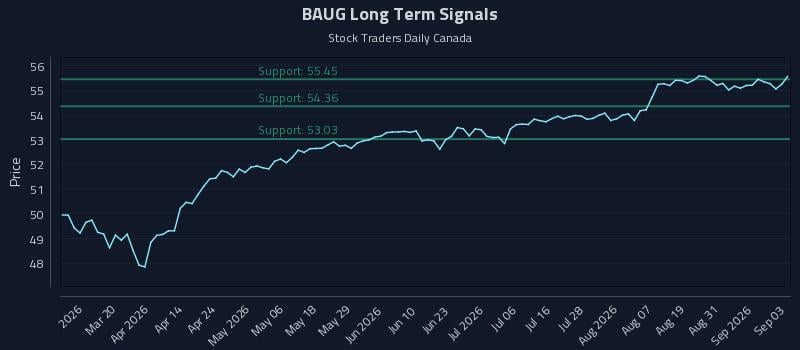 BAUG Long Term Analysis for September 3 2026 BAUG Long Term Analysis for September 3 2026