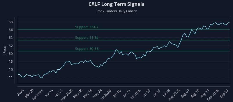 CALF Long Term Analysis for September 3 2026 CALF Long Term Analysis for September 3 2026