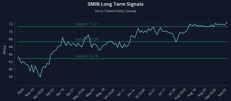 SMIN Long Term Analysis for September 4 2026
