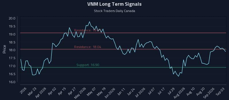 VNM Long Term Analysis for September 4 2026 VNM Long Term Analysis for September 4 2026