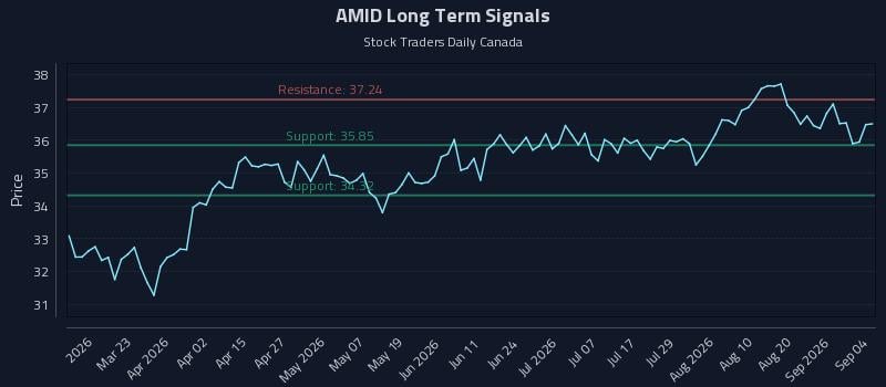 AMID Long Term Analysis for September 4 2026