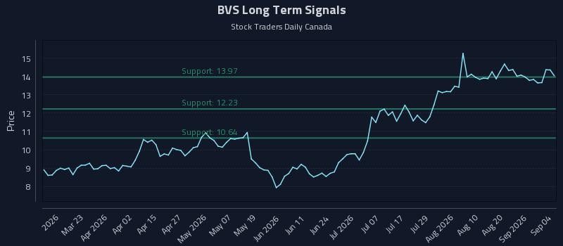 BVS Long Term Analysis for September 4 2026 BVS Long Term Analysis for September 4 2026