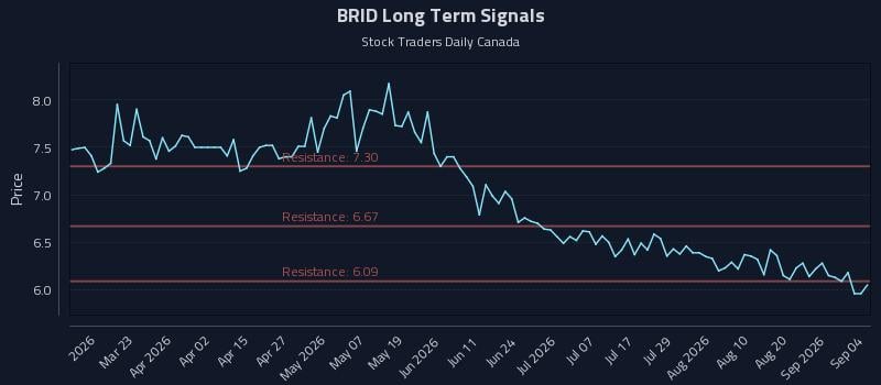 BRID Long Term Analysis for September 5 2026 BRID Long Term Analysis for September 5 2026