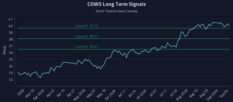 COWS Long Term Analysis for September 5 2026 COWS Long Term Analysis for September 5 2026
