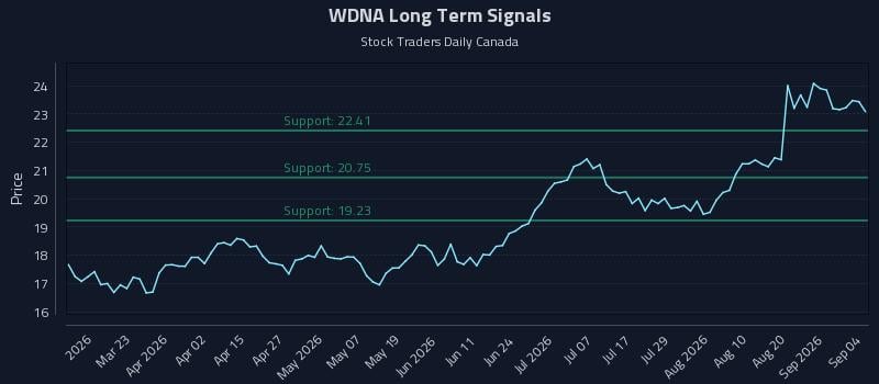 WDNA Long Term Analysis for September 6 2026 WDNA Long Term Analysis for September 6 2026