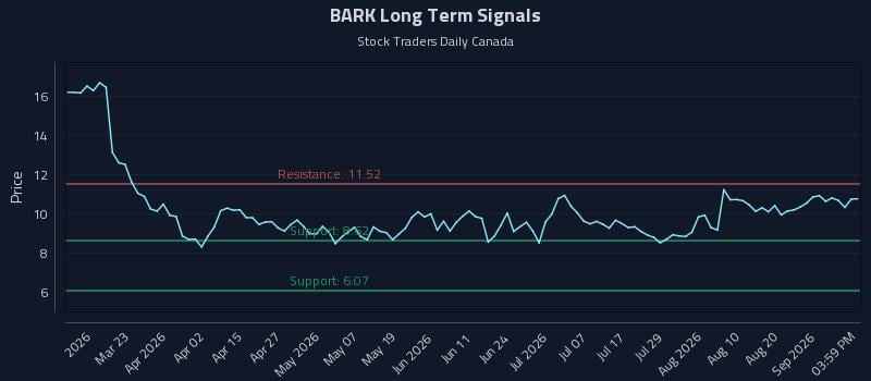BARK Long Term Analysis for September 6 2026 BARK Long Term Analysis for September 6 2026