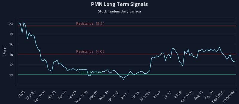 PMN Long Term Analysis for September 7 2026