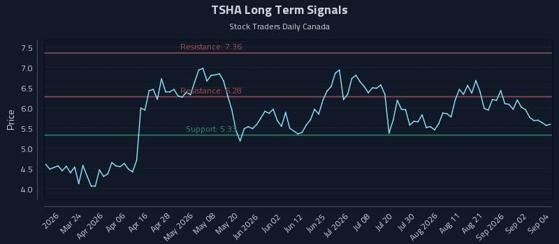TSHA Long Term Analysis for September 8 2026 TSHA Long Term Analysis for September 8 2026