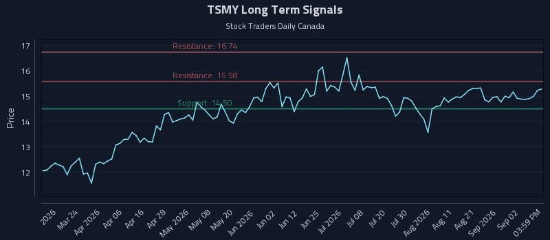 TSMY Long Term Analysis for September 8 2026