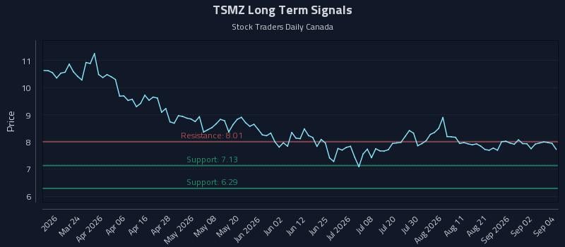 TSMZ Long Term Analysis for September 8 2026 TSMZ Long Term Analysis for September 8 2026