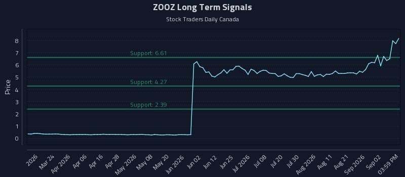 ZOOZ Long Term Analysis for September 8 2026