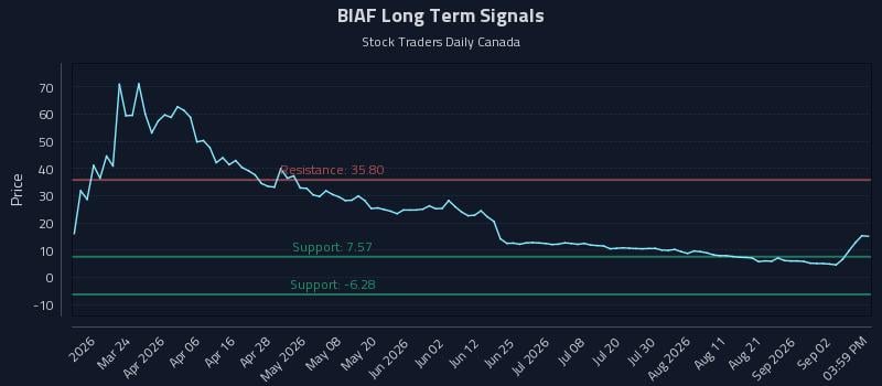 BIAF Long Term Analysis for September 8 2026 BIAF Long Term Analysis for September 8 2026
