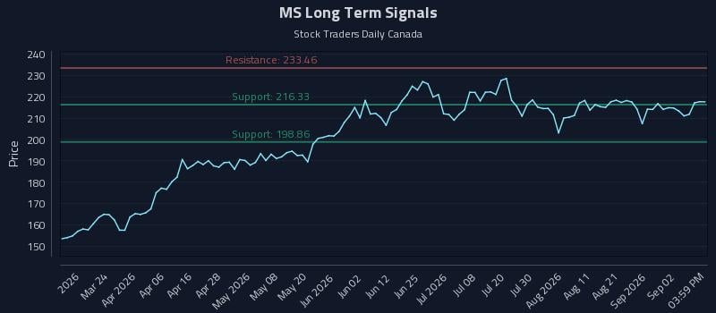 MS Long Term Analysis for September 8 2026