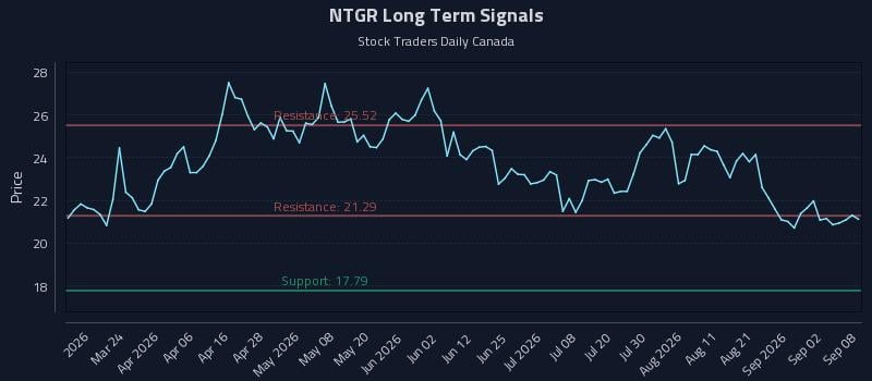 NTGR Long Term Analysis for September 8 2026