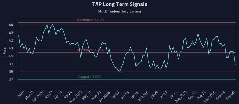 TAP Long Term Analysis for September 9 2026 TAP Long Term Analysis for September 9 2026