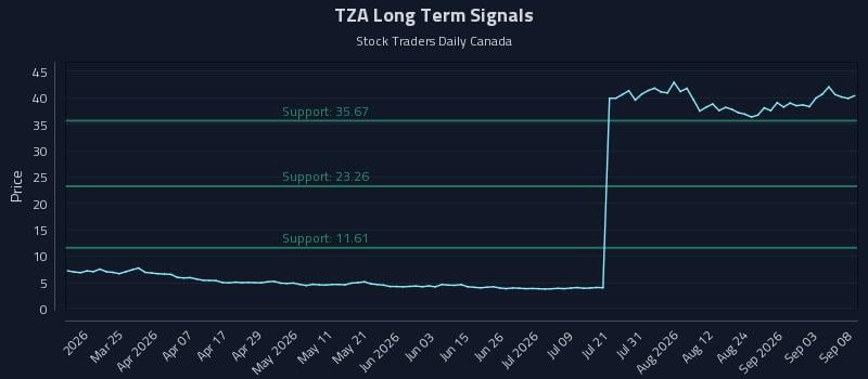 TZA Long Term Analysis for September 9 2026