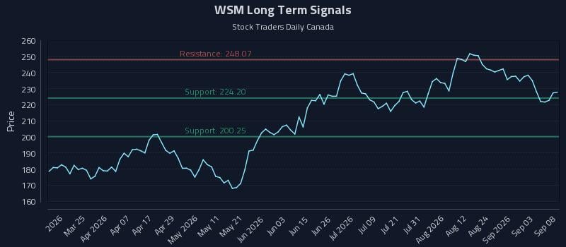 WSM Long Term Analysis for September 9 2026