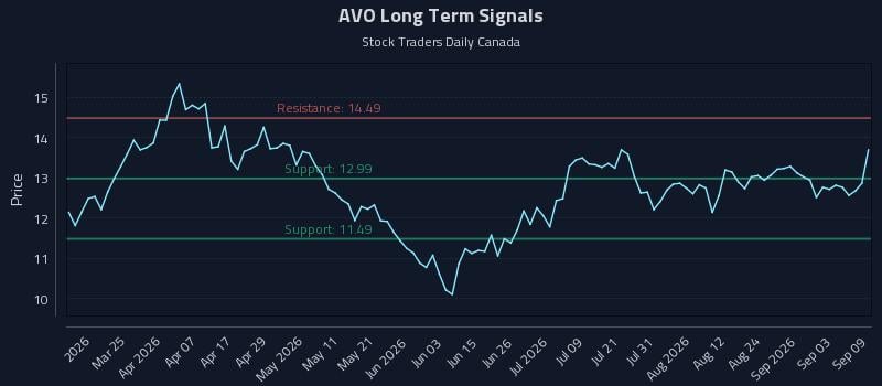 AVO Long Term Analysis for September 9 2026 AVO Long Term Analysis for September 9 2026