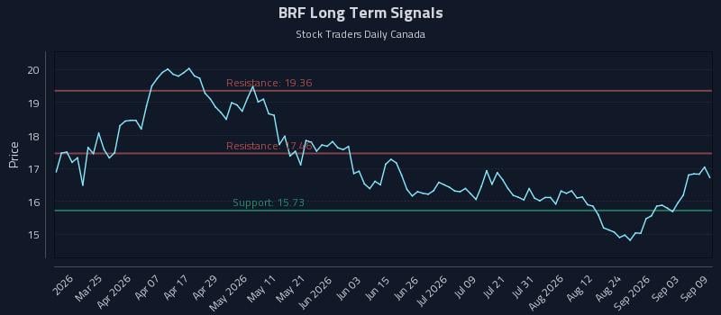 BRF Long Term Analysis for September 9 2026 BRF Long Term Analysis for September 9 2026