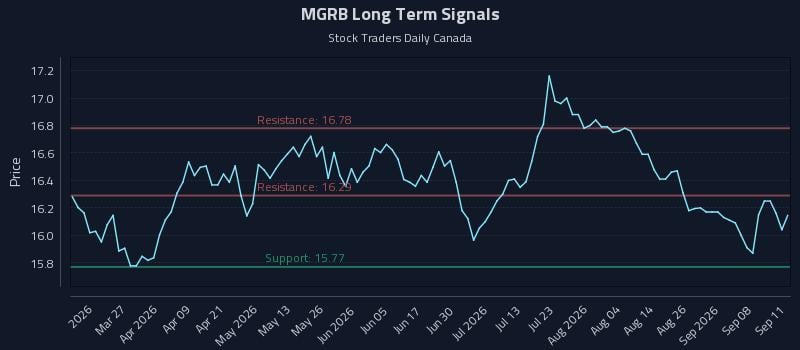 MGRB Long Term Analysis for September 12 2026