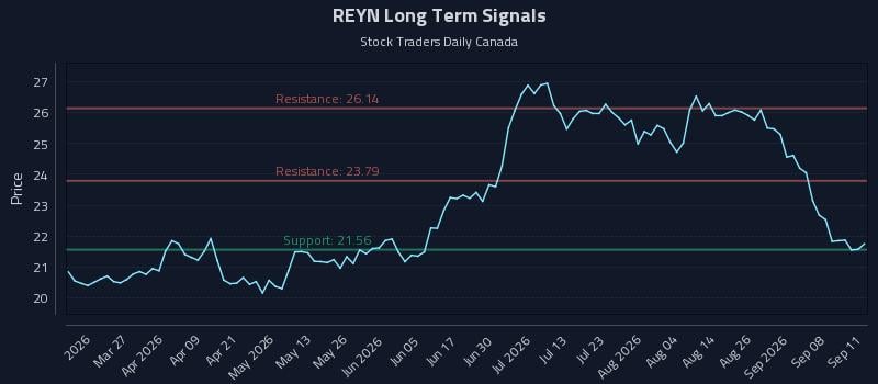 REYN Long Term Analysis for September 12 2026 REYN Long Term Analysis for September 12 2026