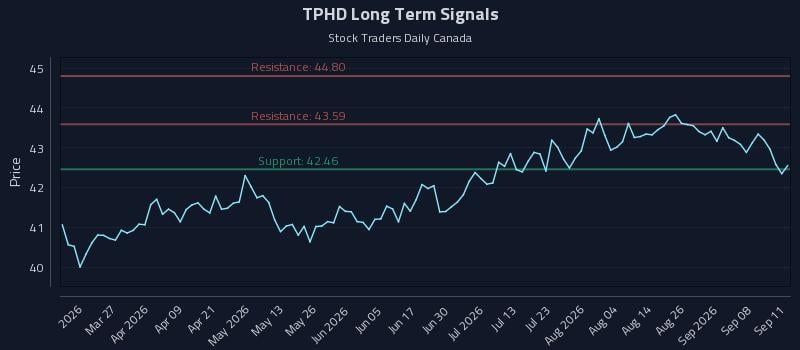 TPHD Long Term Analysis for September 13 2026 TPHD Long Term Analysis for September 13 2026