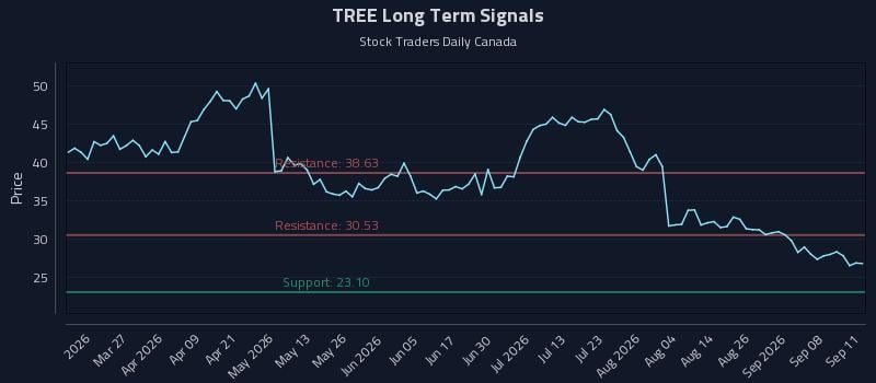 TREE Long Term Analysis for September 13 2026 TREE Long Term Analysis for September 13 2026