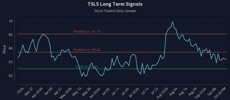 TSLS Long Term Analysis for September 13 2026 TSLS Long Term Analysis for September 13 2026