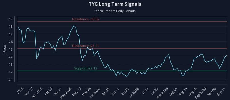 TYG Long Term Analysis for September 13 2026
