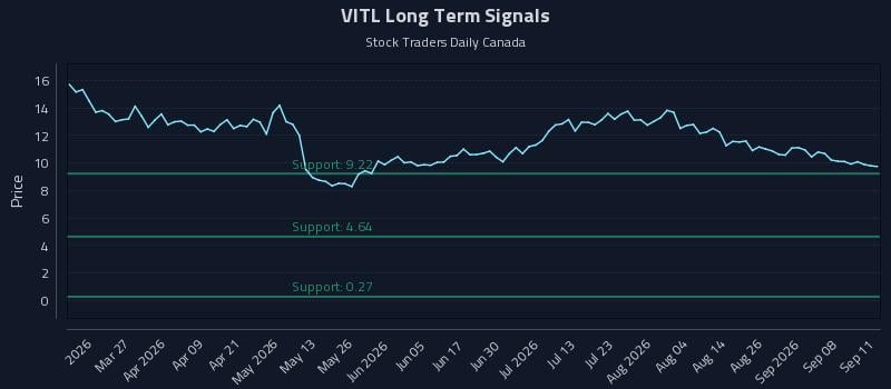 VITL Long Term Analysis for September 13 2026 VITL Long Term Analysis for September 13 2026