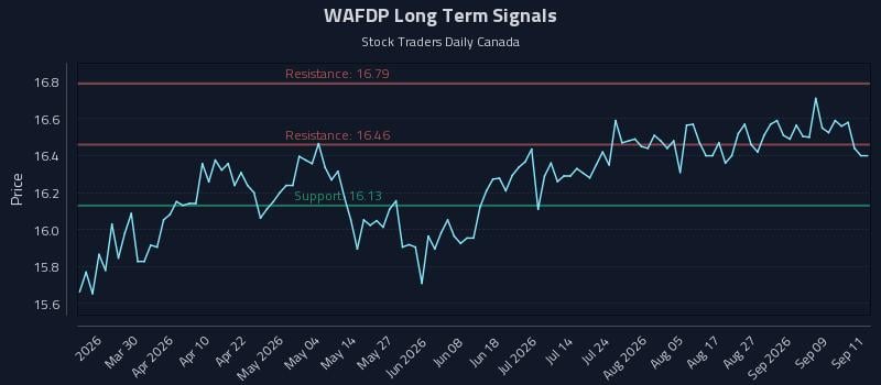 WAFDP Long Term Analysis for September 14 2026 WAFDP Long Term Analysis for September 14 2026