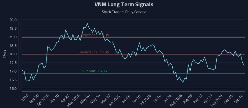 VNM Long Term Analysis for September 14 2026 VNM Long Term Analysis for September 14 2026