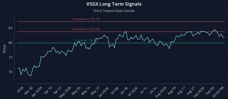 VSGX