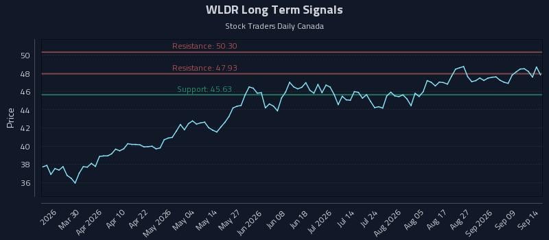 WLDR Long Term Analysis for September 14 2026 WLDR Long Term Analysis for September 14 2026