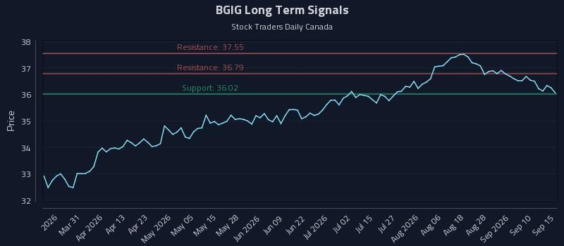 BGIG Long Term Analysis for September 15 2026 BGIG Long Term Analysis for September 15 2026