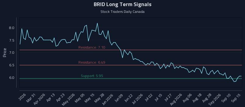 BRID Long Term Analysis for September 15 2026 BRID Long Term Analysis for September 15 2026