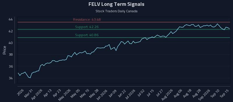 FELV Long Term Analysis for September 15 2026 FELV Long Term Analysis for September 15 2026