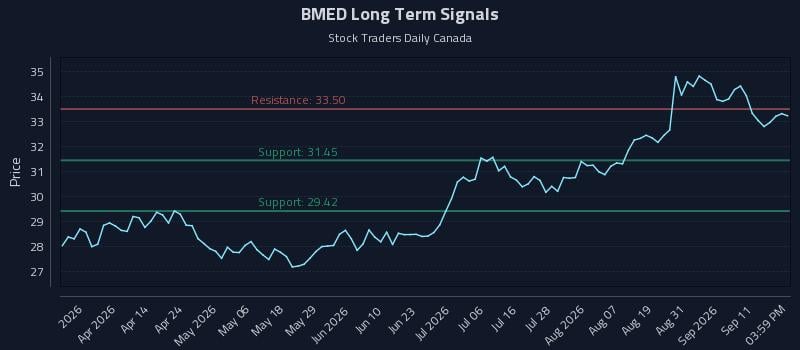 BMED Long Term Analysis for September 16 2026 BMED Long Term Analysis for September 16 2026