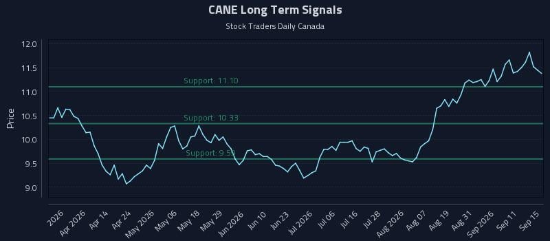 CANE Long Term Analysis for September 16 2026 CANE Long Term Analysis for September 16 2026