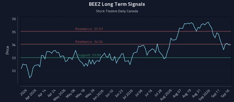BEEZ Long Term Analysis for September 16 2026 BEEZ Long Term Analysis for September 16 2026
