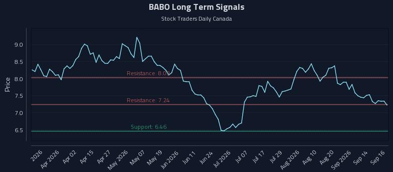 BABO Long Term Analysis for September 17 2026