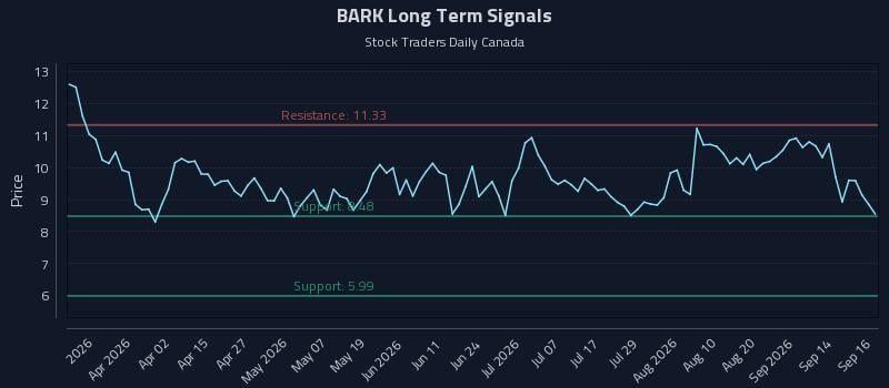 BARK Long Term Analysis for September 17 2026 BARK Long Term Analysis for September 17 2026