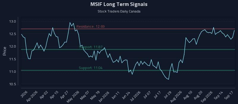 MSIF Long Term Analysis for September 17 2026 MSIF Long Term Analysis for September 17 2026