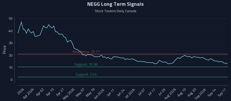 NEGG Long Term Analysis for September 17 2026 NEGG Long Term Analysis for September 17 2026