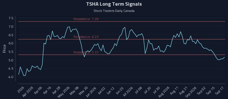 TSHA Long Term Analysis for September 18 2026 TSHA Long Term Analysis for September 18 2026