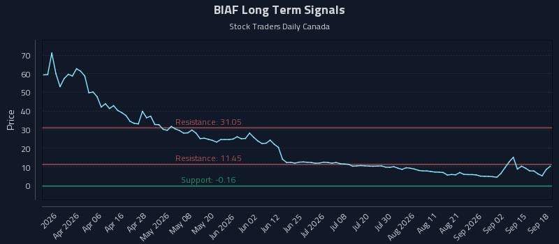 BIAF Long Term Analysis for September 18 2026 BIAF Long Term Analysis for September 18 2026