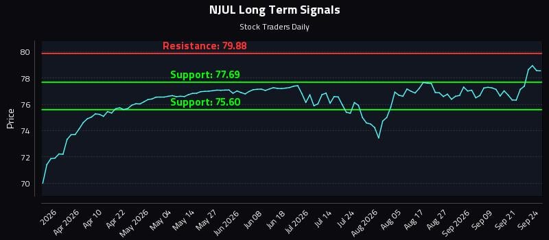 NJUL Long Term Analysis for September 24 2026 NJUL Long Term Analysis for September 24 2026