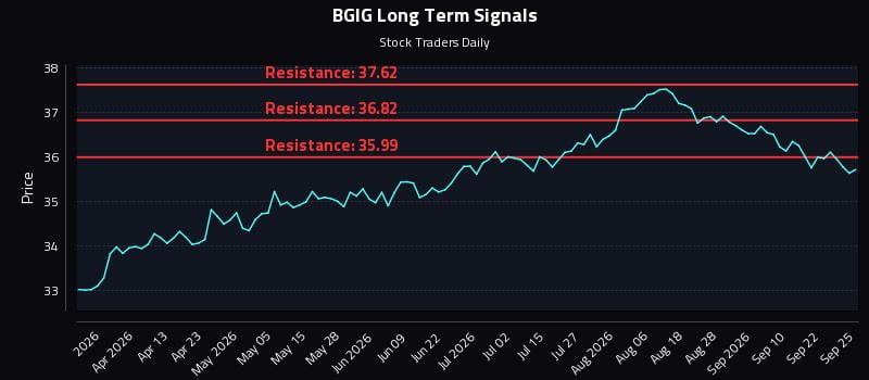BGIG Long Term Analysis for September 25 2026 BGIG Long Term Analysis for September 25 2026